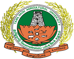 Agricultural Engineering College and Research Institute