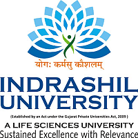 Indrashil University Rajpur