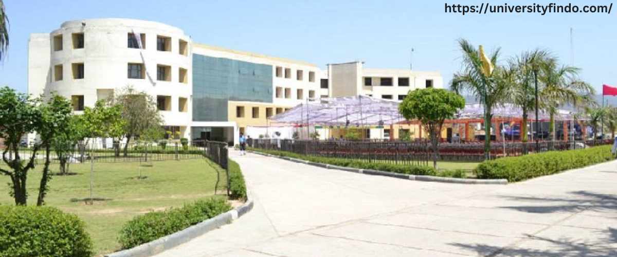 Ph.D. Admission 2023–2024 at Baddi University of Emerging Sciences & Technology