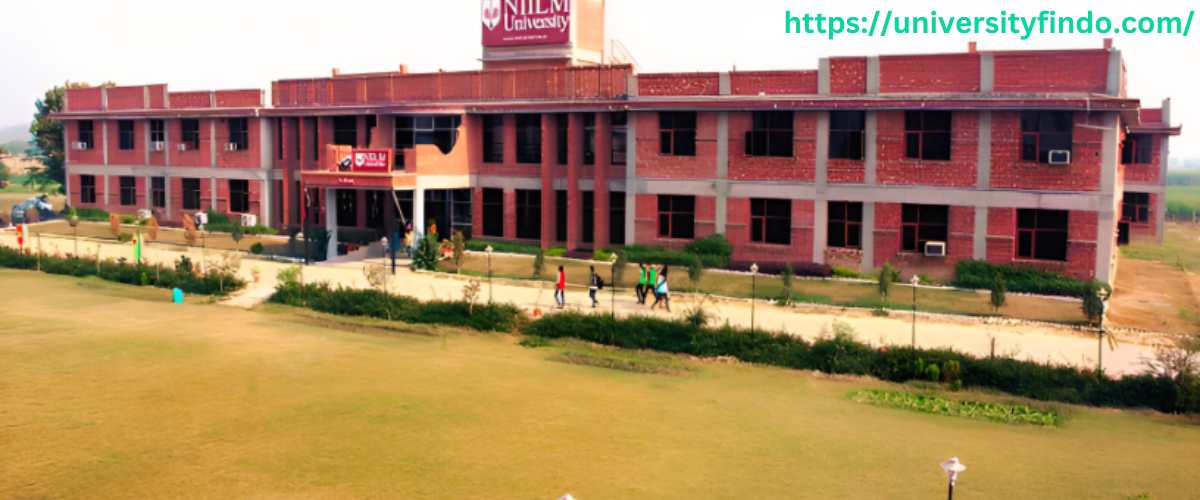 Pursuing a PhD in International Trade and Commerce at Niilm University